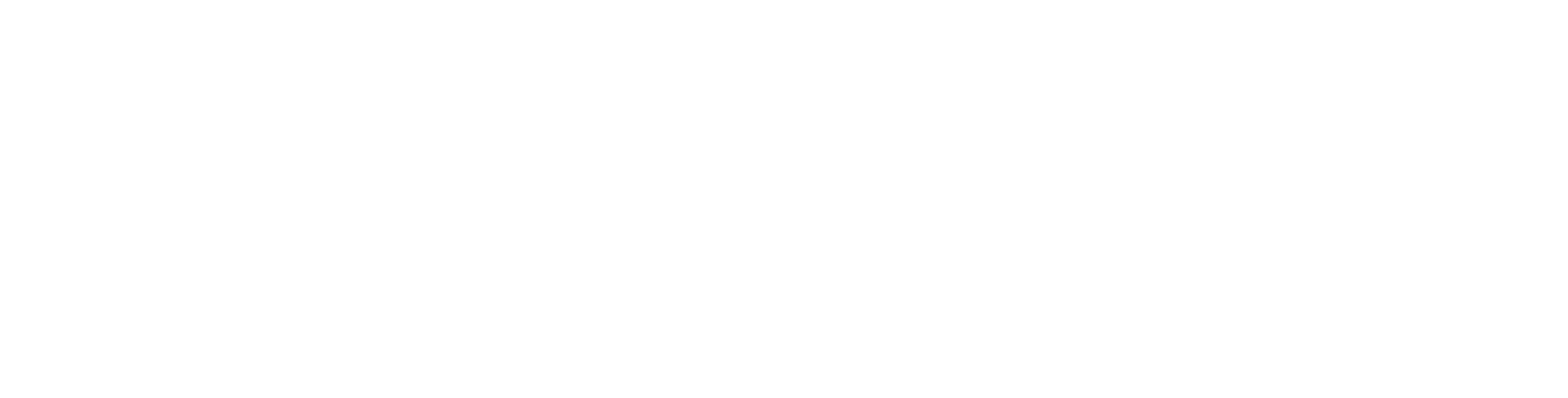 Besterve 百诗特